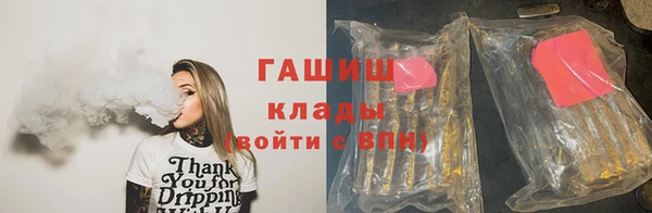 прущие грибы Медвежьегорск