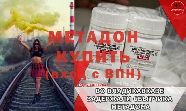 прущие грибы Медвежьегорск